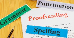 professional essay writing services Picture