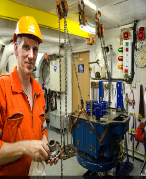 Hire Experienced Domestic and Co... Picture