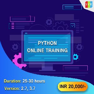  Python Training Online Picture