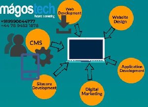 Umbraco Developer in UK | Siteco... Picture