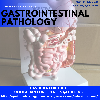 Gastroenterology Utilitarian Con... Picture