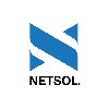 NetSol Technologies - Asset Fina... Picture
