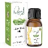 Impeccable Aloe Vera Oil Benefits for resisting ailments offer Health & Beauty