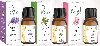 Which Essential Oil is suitable for acne-prone skin? offer Health & Beauty