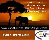 Ivory Sky Tours South African Vacation offer Travel Agent