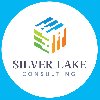 Get SPSS expert help with Silver... Picture
