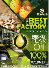 ZINEGLOB PRICKLY PEAR OIL WHOLESALER AND EXPORTER offer Health & Beauty