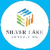 We Silver Lake Consulting help y... Picture
