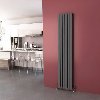 Buy Flat Panel Vertical Radiator... Picture