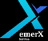 Mobile app development company London - EmerX Services Pvt.  Ltd.   offer Internet Business