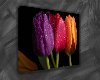Best offers on Bulk Canvas Prints offer Arts And Crafts