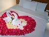 Honeymoon andaman nicobar | Anda... Picture