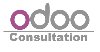 Odoo ERP Consultant in the UK Picture