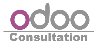 Odoo ERP Consultant in the UK offer Services